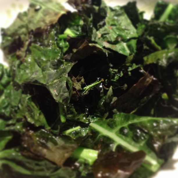 Salted Kale Chips
